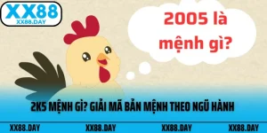 2k5-menh-gi-thumb