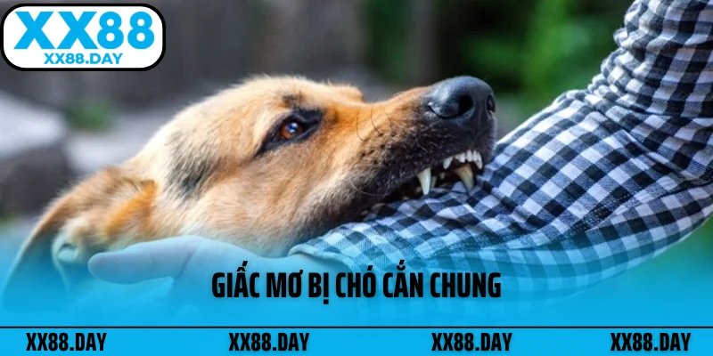 giac-mo-bi-cho-can-chung