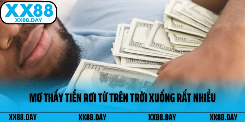 mo-thay-tien-roi-tu-tren-troi-xuong-rat-nhieu