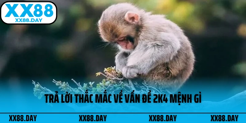 tra-loi-thac-mac-ve-van-de-2k4-menh-gi