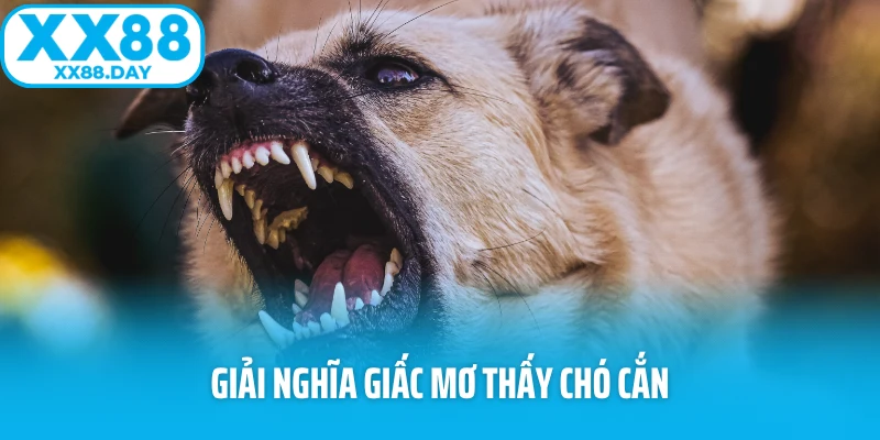 Giải nghĩa giấc mơ thấy chó cắn