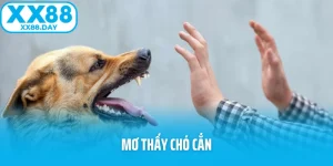 Mơ Thấy Chó Cắn